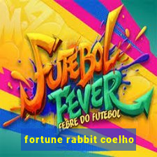 fortune rabbit coelho